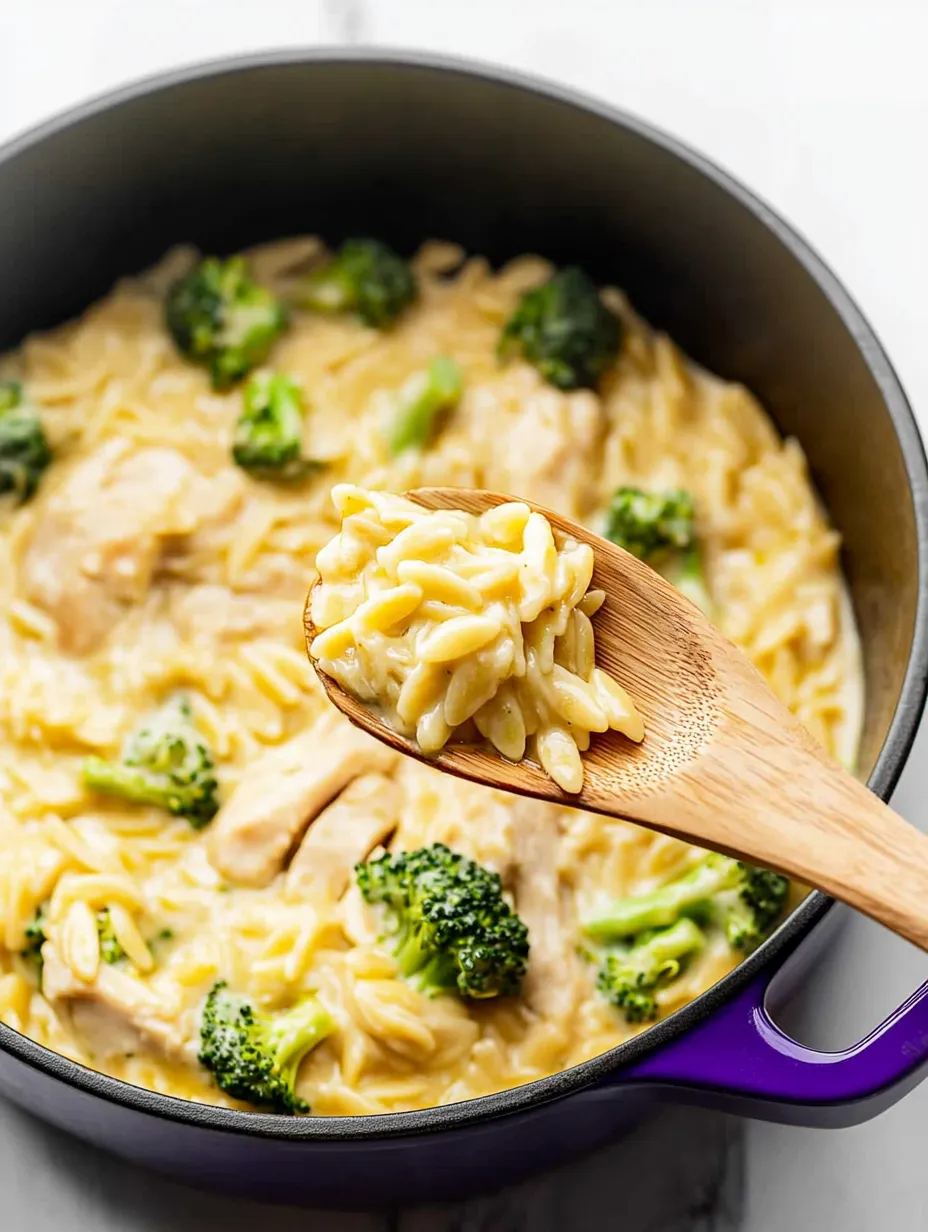 Recette Facile d'Orzo Crémeux Poulet Brocoli